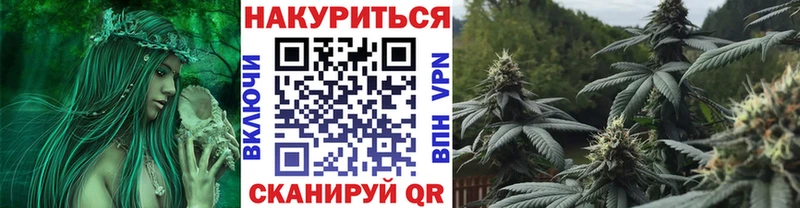 Где найти наркотики Новосокольники Псилоцибиновые грибы  Меф мяу мяу  OMG ТОР  ГАШ  А ПВП  Амфетамин 