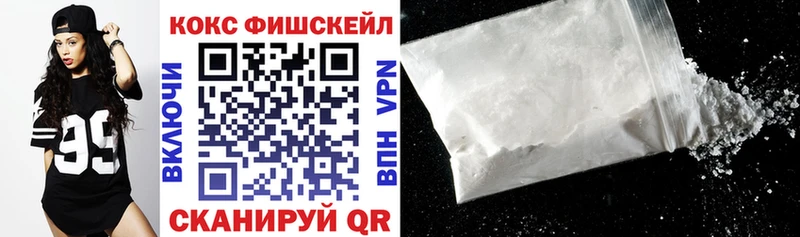 COCAIN Fish Scale  shop клад  Новосокольники 