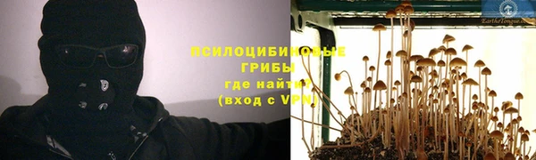 не бодяженный Верея