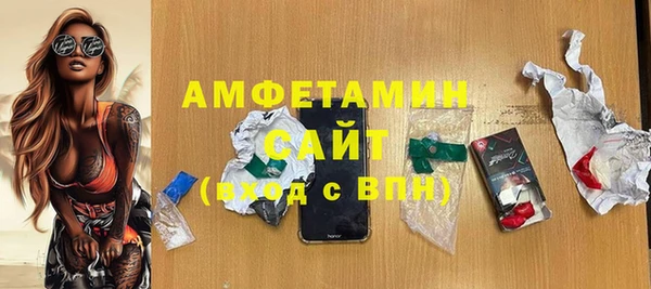 трава Сатка