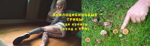 соль курить ск Верхний Тагил