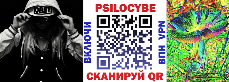 Галлюциногенные грибы Cubensis  МЕГА ссылка  Новосокольники 
